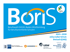 Logo BoriS