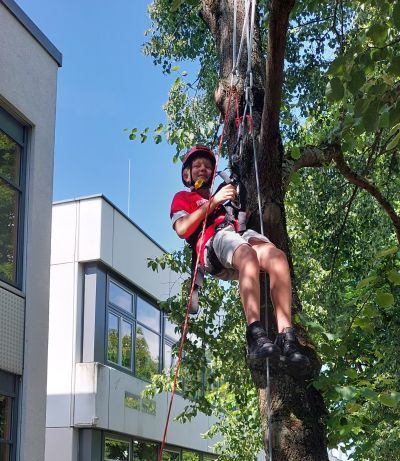 Ein Schüler in Kletterausrüstung hängt an einem Baum